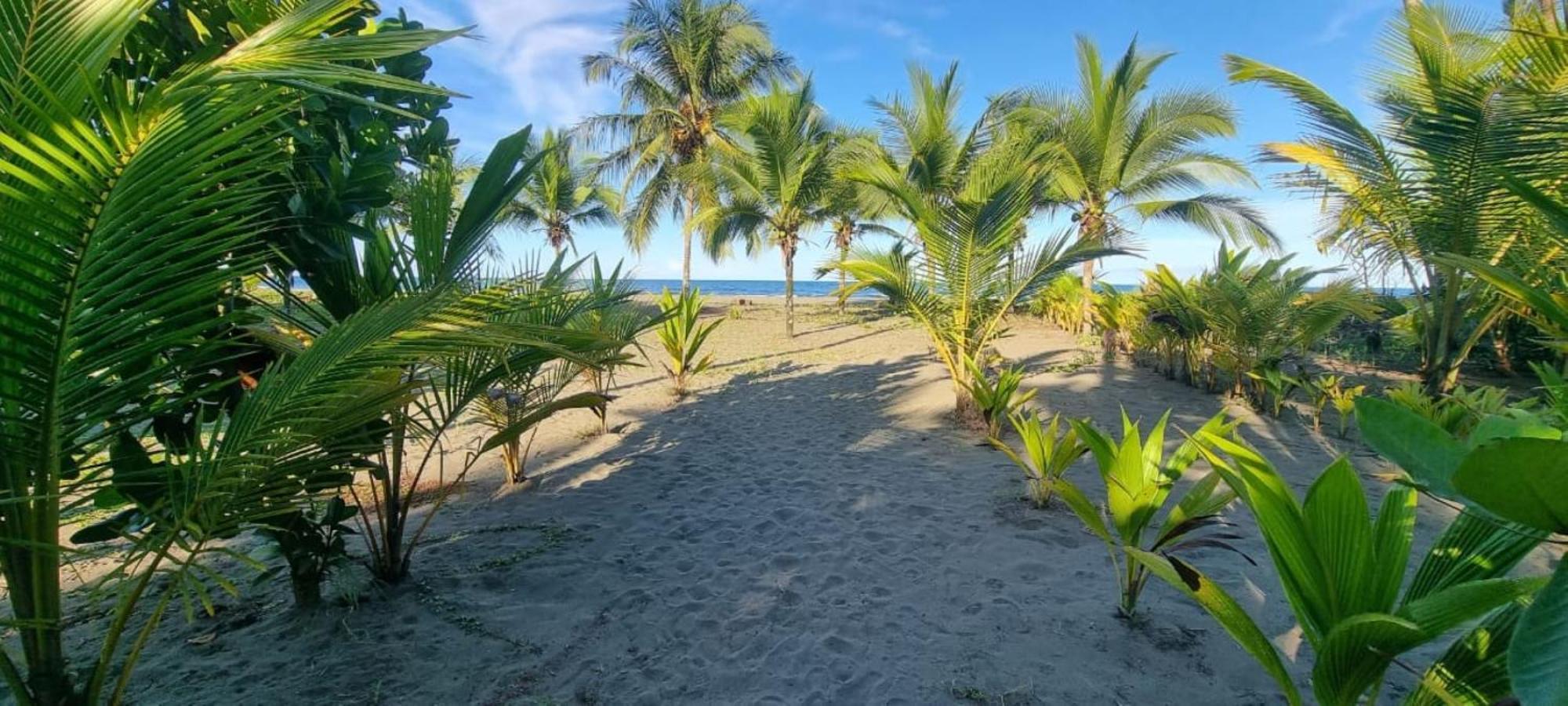 Hotel Playa Westfalia Puerto Limon Eksteriør bilde