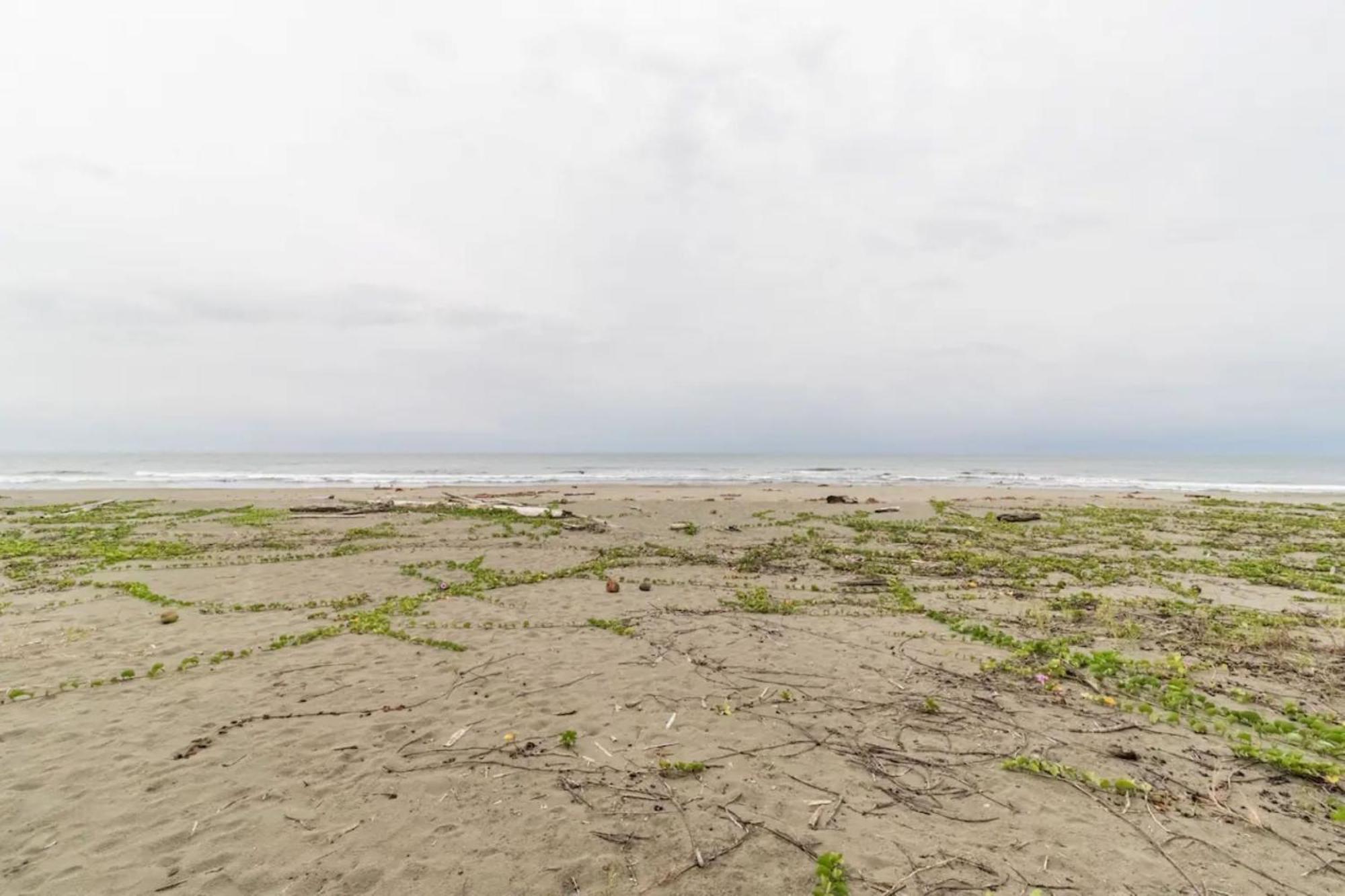 Hotel Playa Westfalia Puerto Limon Eksteriør bilde