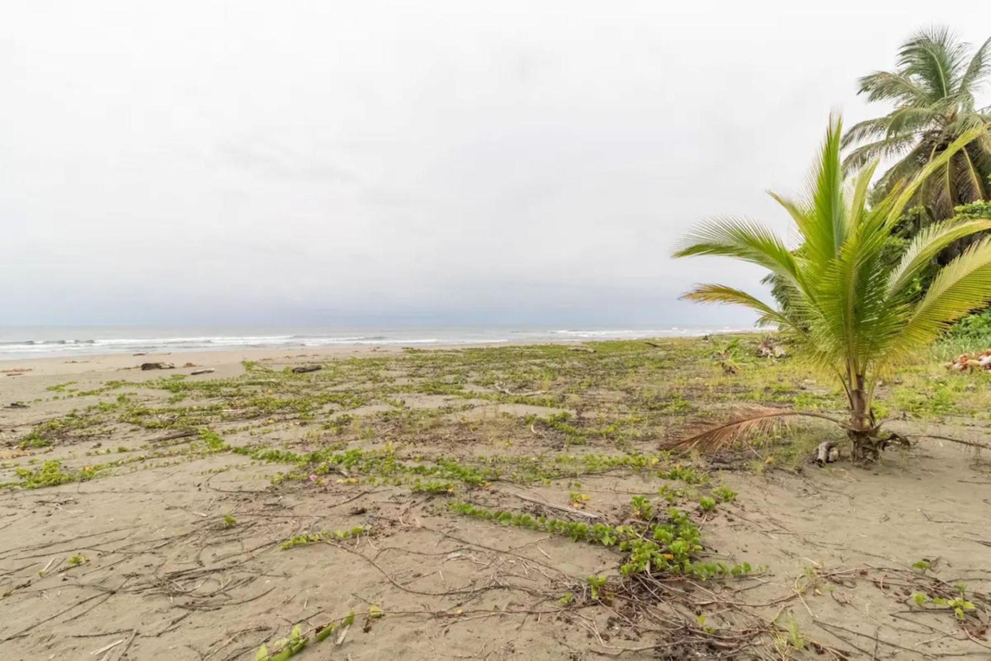 Hotel Playa Westfalia Puerto Limon Eksteriør bilde